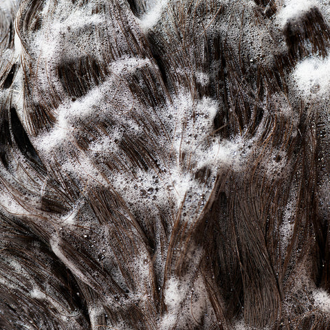 signature shampoo